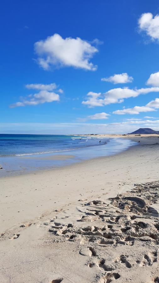 Casa Vivi Fuerteventura Daire Corralejo Dış mekan fotoğraf