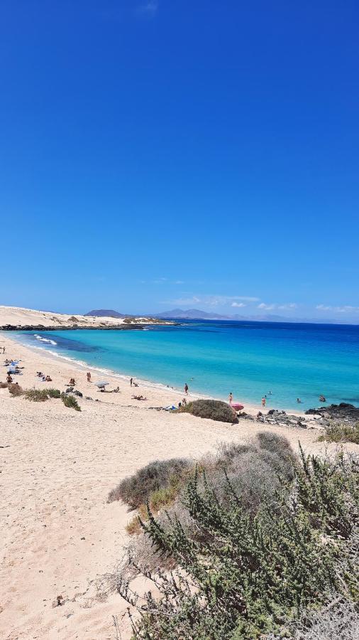Casa Vivi Fuerteventura Daire Corralejo Dış mekan fotoğraf